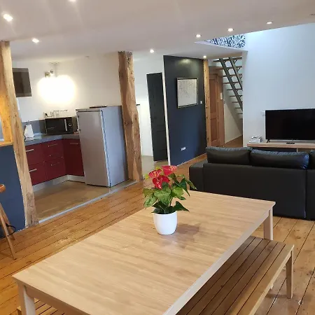 Loft Dans Les Pyrenees דירה *