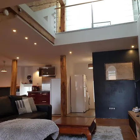 Loft Dans Les Pyrenees * אולורן-סנט-מארי