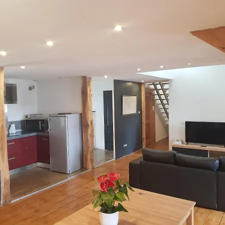 Loft Dans Les Pyrenees Apartmán *