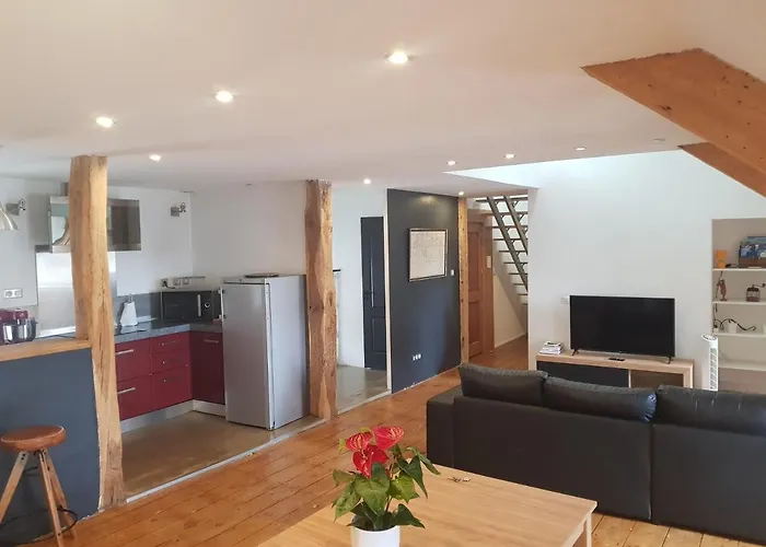 Loft Dans Les Pyrénées Appartamento *